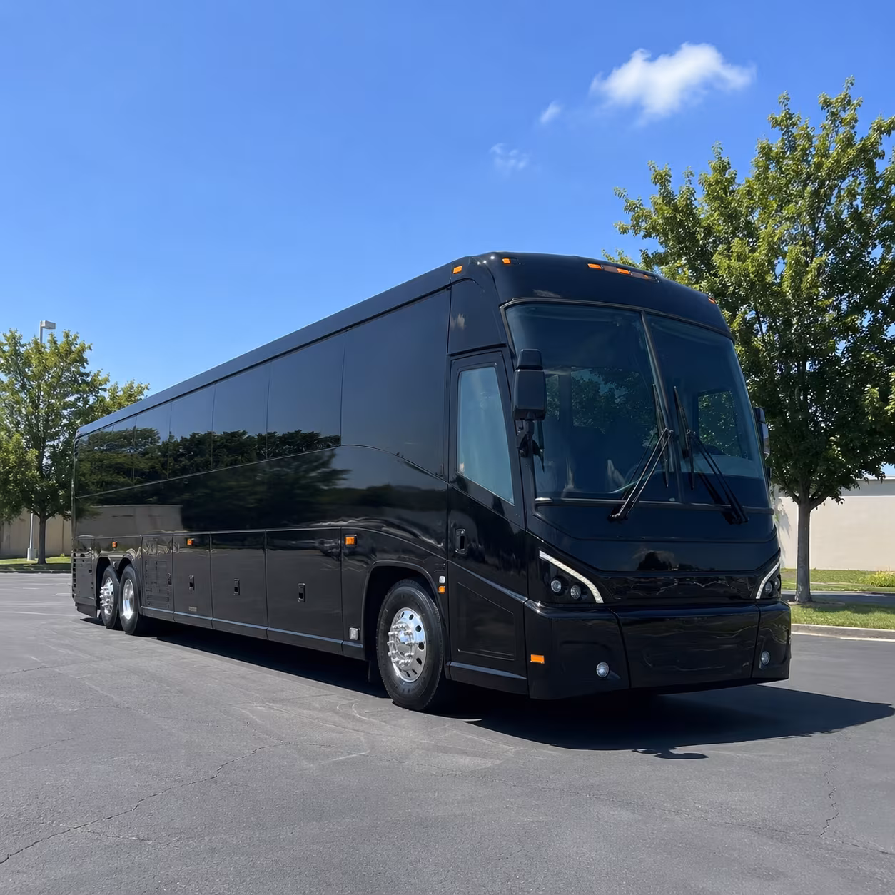 shoreline attend shoreline festivals with a charter bus rental